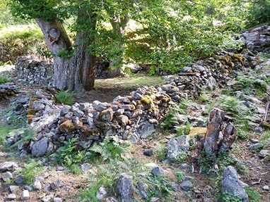 Ruta Paso de A Colada - Suertes (Ancares)